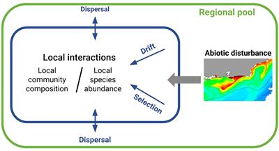 Non-deterministic reef fish community assembly in an upwelling-influenced transitional subprovince of the southwestern Atlantic